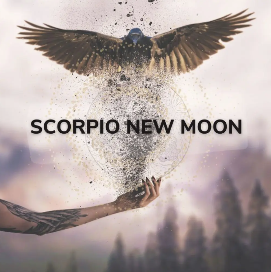 New Moon in Scorpio — Southern Hemisphere