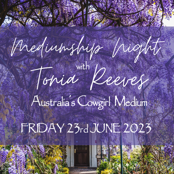 Tonia Reeves  -  A Night of Connections